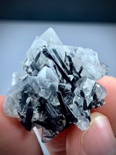 17-gram Natural Tourmaline Crystal Combine Multiple Terminated Quartz Specimen picture