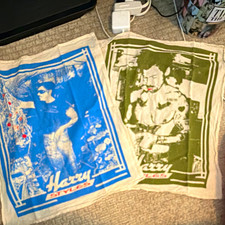 Harry Styles 2-Pack Cotton Graphic Print Tea Towels Blue/Green Decorative picture