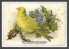 Victorian Trading Card - Tulip Soap - 