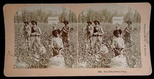 VERY RARE ANTIQUE Real Photo Cotton Pickers Kilburn Stereoview Stereoscope picture