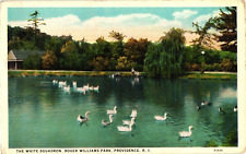 The White Squadron Roger Williams Park Providence RI White Border Postcard 1919 picture