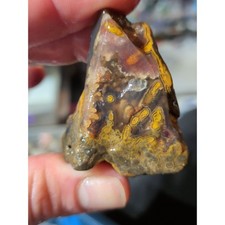 Moss Agate W Multicolored Inclusions Specimen picture